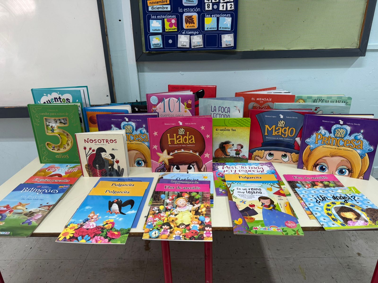 Biblioteca Familias Primero llega a colegios de Puerto Varas gracias a campaña solidaria de donación de libros
