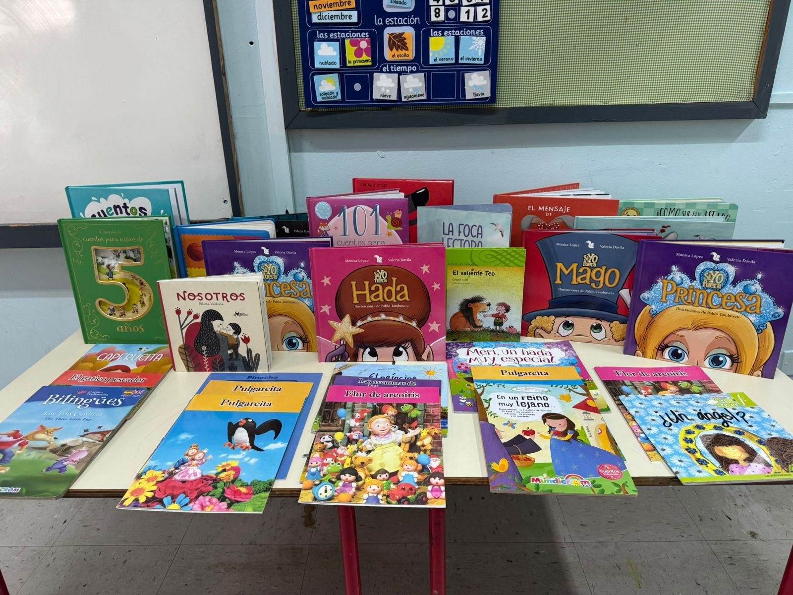 Biblioteca Familias Primero llega a colegios de Puerto Varas gracias a campaña solidaria de donación de libros