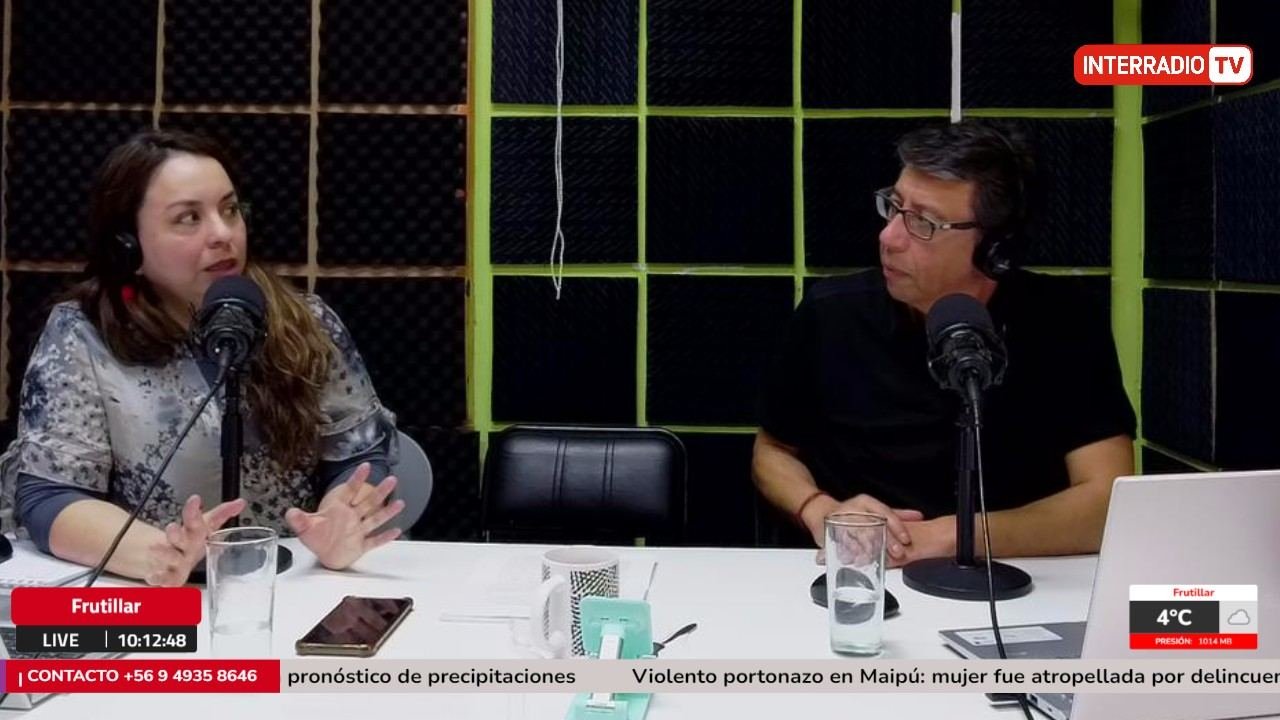 Debate por los proyectos de Frutillar abre discusión sobre transparencia y participación ciudadana