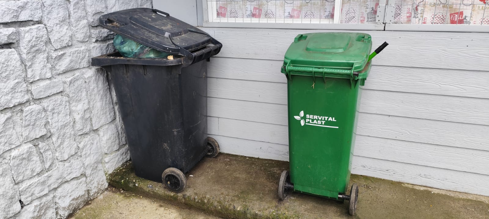 Comerciante denuncia acumulación de basura domiciliaria en sector ex DIDECO del recinto Estación de Frutillar
