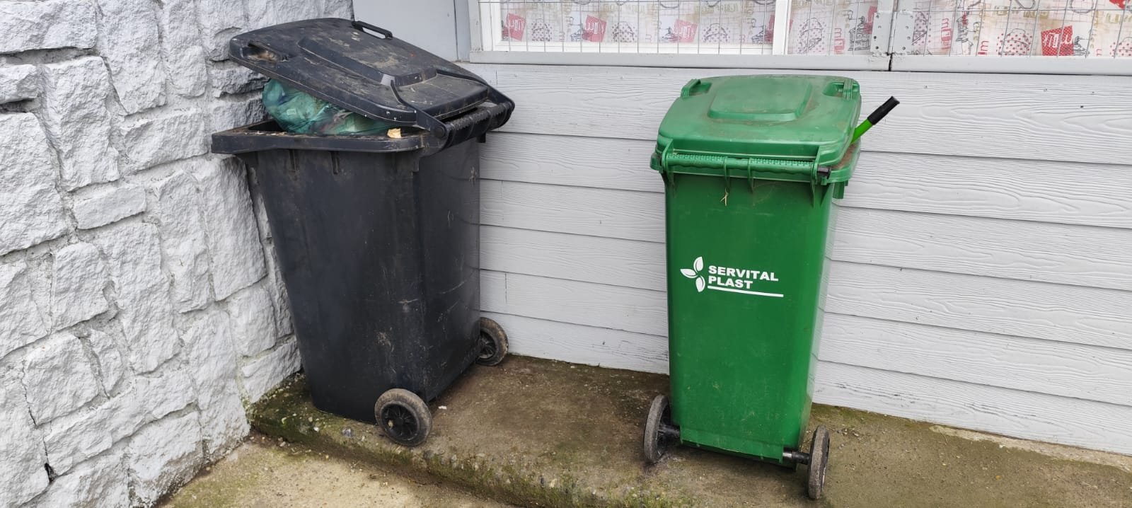 Comerciante denuncia acumulación de basura domiciliaria en sector ex DIDECO del recinto Estación de Frutillar