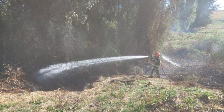 Carabineros detiene a dos personas por quemas ilegales