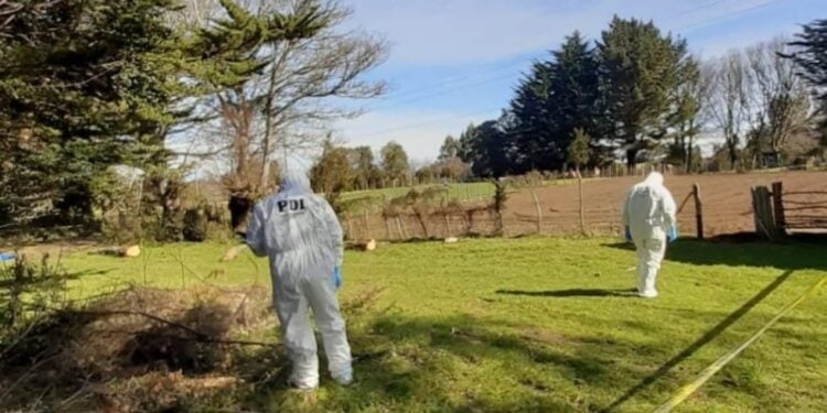 PDI detiene a joven acusado de matar a su hermanastro y abuela en Caguach