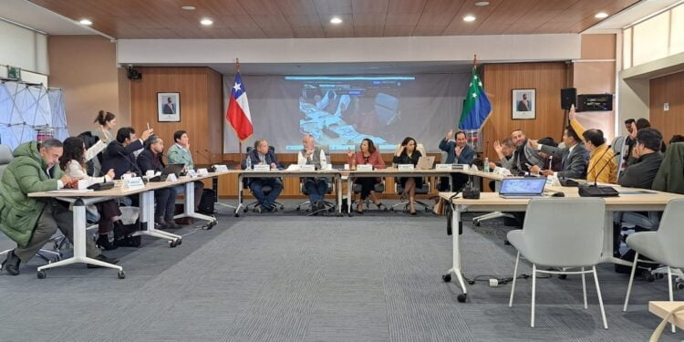 Consejo Regional de Los Lagos aprueba pronunciamiento positivo del Gobierno Regional para proyecto habitacional en Osorno