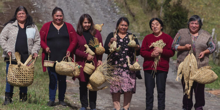 ExpoMundoRural INDAP Los Lagos llevará lo mejor del campo a la Arena Puerto Montt