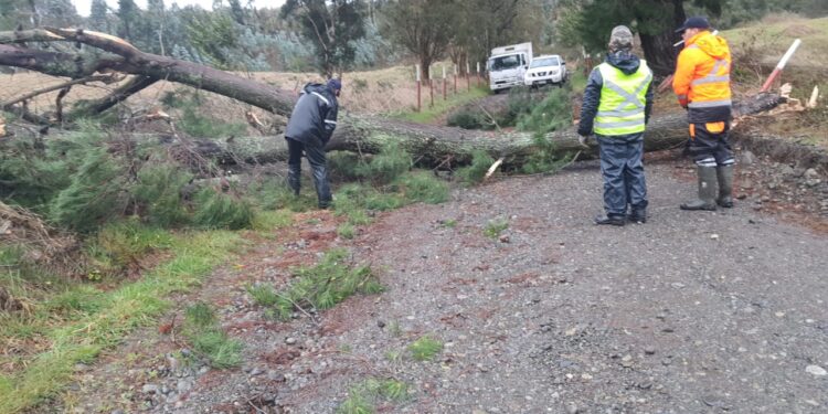 Personal municipal y bomberos atienden más de 60 emergencias por caídas de árboles, voladura de techumbres y anegamientos en Frutillar