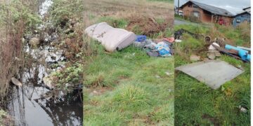 Vecinos denuncian acumulación de basura y plaga de roedores en sector de calle Nueva Nueve