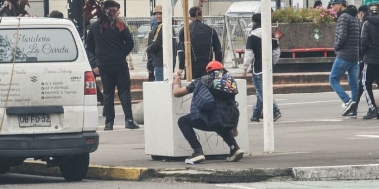 En Puerto Montt fue detenido un sujeto que dañó maceteros recién instalados gracias a cámaras de seguridad municipales