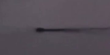 📹 Graban extraña criatura en el Lago Llanquihue, Frutillar