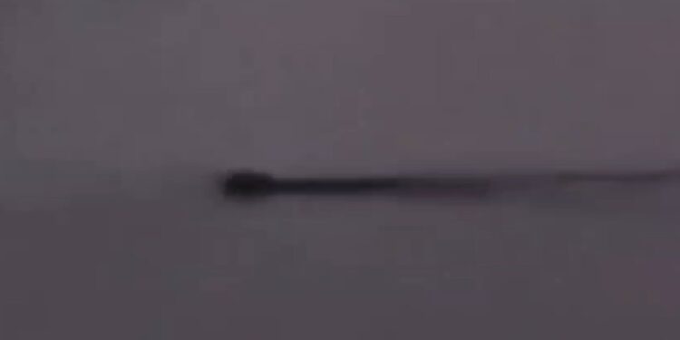 📹 Graban extraña criatura en el Lago Llanquihue, Frutillar