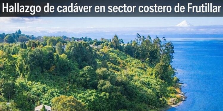 Hallazgo de cadáver en sector costero de Frutillar