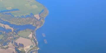 Salmonicultores responden al alcalde de Frutillar por reunión para salida de Lago Llanquihue