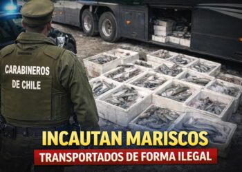 Carabineros decomisa productos del mar transportados ilegalmente en Frutillar