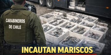 Carabineros decomisa productos del mar transportados ilegalmente en Frutillar