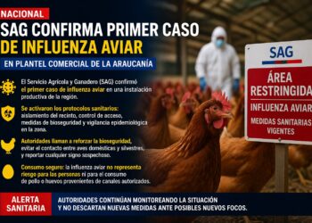 Confirman primer caso de influenza aviar en plantel comercial en La Araucanía