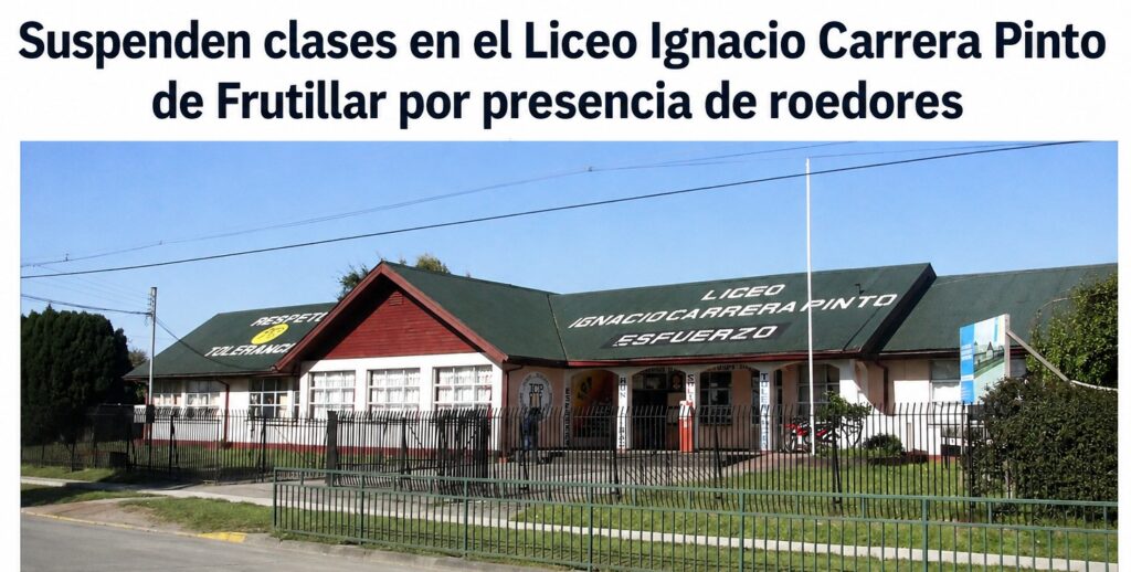 Suspensión de clases en el Liceo Ignacio Carrera Pinto de Frutillar por presencia de roedores
