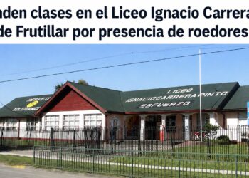 Suspensión de clases en el Liceo Ignacio Carrera Pinto de Frutillar por presencia de roedores