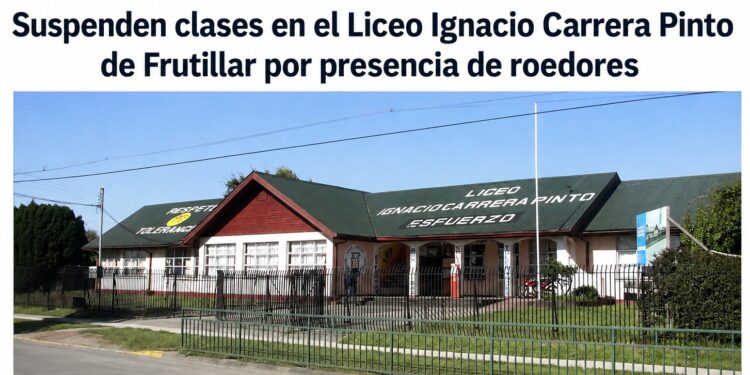 Suspensión de clases en el Liceo Ignacio Carrera Pinto de Frutillar por presencia de roedores